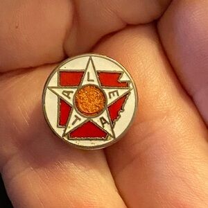 Vintage Order of the Eastern Star Arkansas Chapter Military Back Lapel Tie Pin